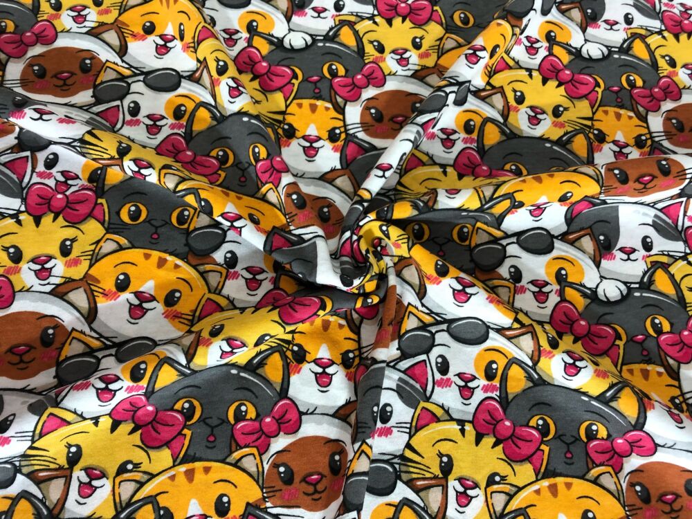 238DF2A9-CCBB-4011-B7AA-C21A7052F7C9 238DF2A9-CCBB-4011-B7AA-C21A7052F7C9