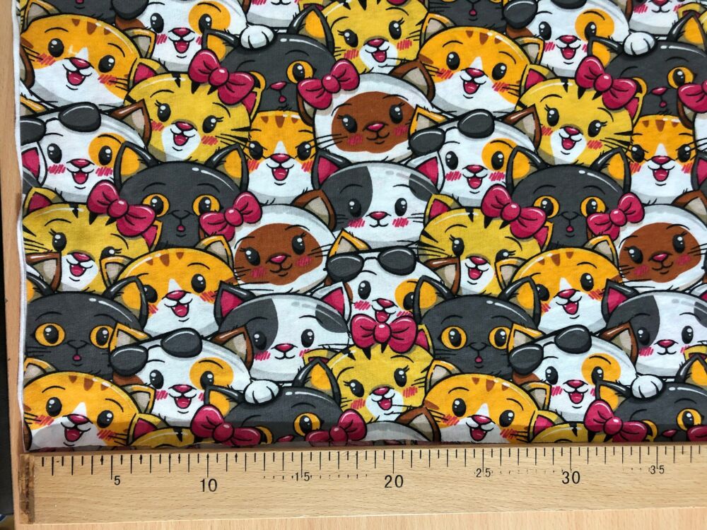 77ACD69A-5A06-46F2-9668-CAA1161FE740 77ACD69A-5A06-46F2-9668-CAA1161FE740