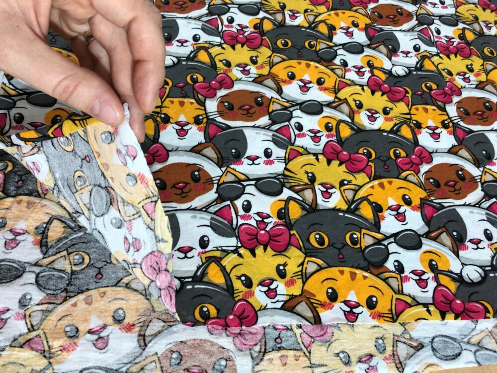 AC5C386E-C4F3-4897-8FA0-09E0DAE6EA44 AC5C386E-C4F3-4897-8FA0-09E0DAE6EA44