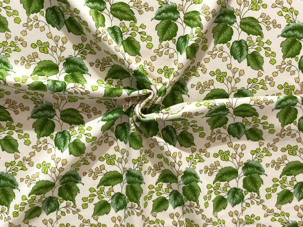 1577D946-FF7B-4D7F-B2AA-C684E9C99EE5 1577D946-FF7B-4D7F-B2AA-C684E9C99EE5