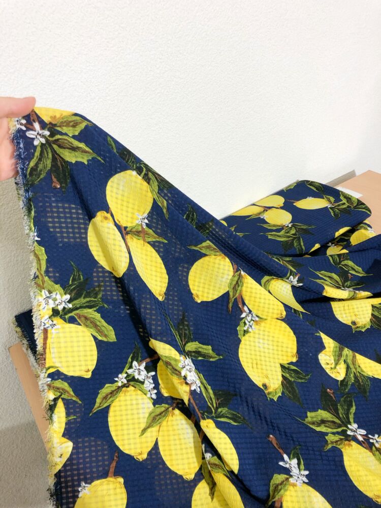 1671B66D-E09C-40CB-A1DE-F5555D087702