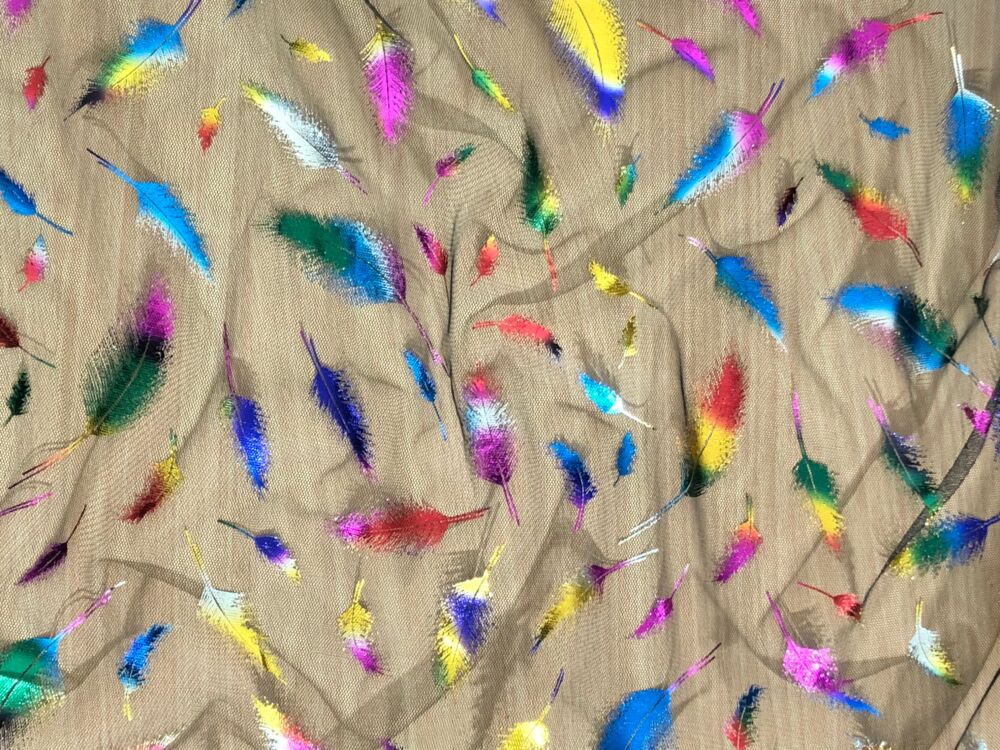 F3D02EBE-361B-4B00-8671-71EA625F645E